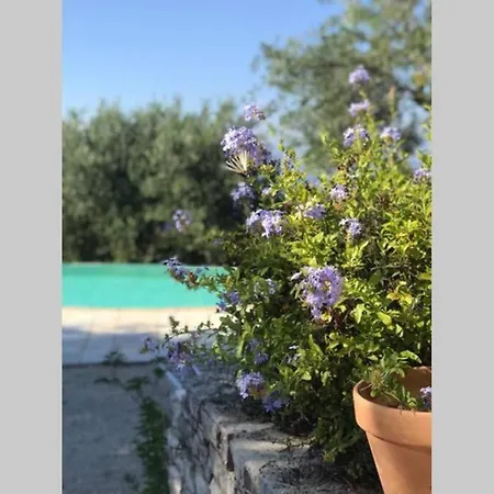 Villa Beautiful 3-bed With Pool And Amazing Views